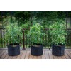 Gardzen 10-Pack 20 Gallon Grow Bags, 300G Thickened Fabric Grow