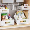2-Pack Under Sink Storage Organizer, Large 2-Tier Elegant Mesh Pull