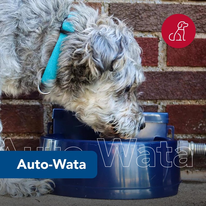 Coastal Pet Bergan Auto-Wata - Outdoor Dog & Cat Water