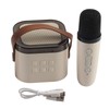 Karaoke Machine Mini Portable Wireless Bluetooth Handheld Microphone Speaker for