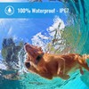 Petrainer Shock Collar for Dogs - Waterproof Rechargeable Dog Training