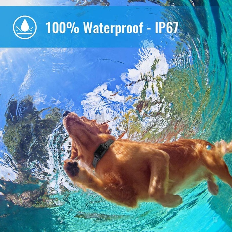Petrainer Shock Collar for Dogs - Waterproof Rechargeable Dog Training