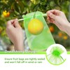 GWHOLE 50pcs 6x8 Inch Fruit Protection Bags, Fruit Cover Mesh