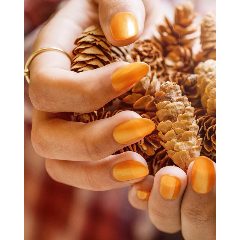 Morgan Taylor Fall Change Of Pace Collection - Fall Nail