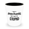 I Might Be a Mechanic But I Can't Fix Stupid.