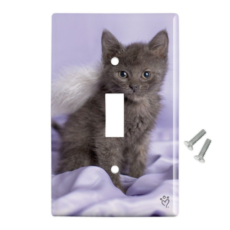 GRAPHICS & MORE Domestic Shorthair Kitten Cat Angel Wings Purple