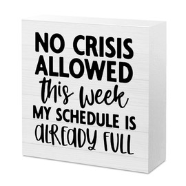 Funny Boss Gifts for Women Men Office Desk Decor Gag Gifts for Coworker Manager Employee Colleagues Friend Gift Funny Home Office Sign Accessories Desk Decor Boss Day Gifts