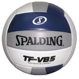 Spalding TF-VB5 Navy/Silver/White