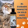 Shampoo BellaPet CocoArgan Acondicionador Para Mascota 500ml