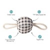 Fringe Studio "Pulling You in Painted Gingham 3D Canvas Dog