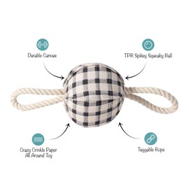 Fringe Studio "Pulling You in Painted Gingham 3D Canvas Dog Toy with Tuggable Rope, PetShop Collection (523042)