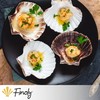 Finoly Large Natural Shells Pack 4/8/12/16 Pieces for Kitchen Decoration