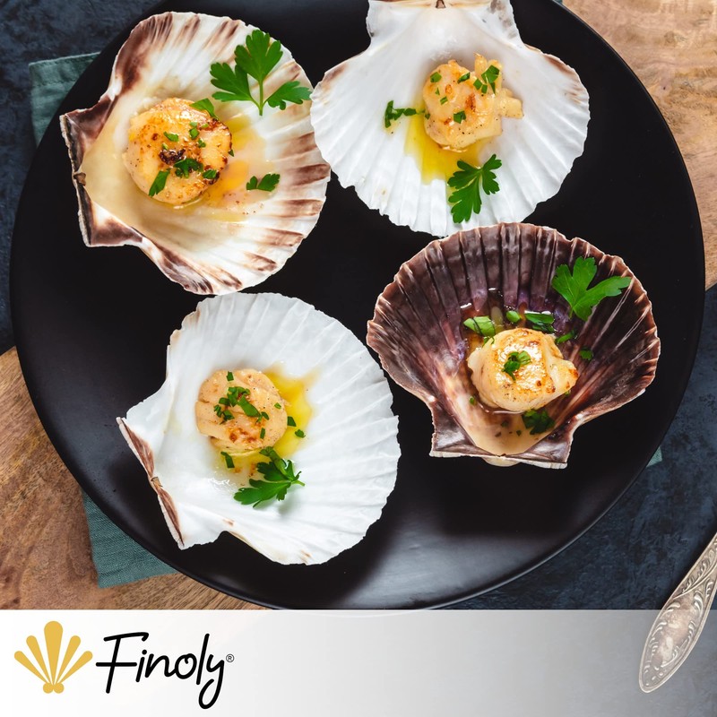 Finoly Large Natural Shells Pack 4/8/12/16 Pieces for Kitchen Decoration