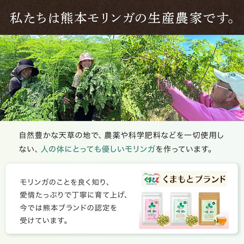 【熊本県産 無添加 無農薬】 くまもとブランド認定 モリンガ 100% タブレット モリンガの粒 240粒（30日分） 天草モリンガファーム