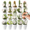 vdvelde.com - Giveaway Mini Cactus en Vetplant Mix with Potje