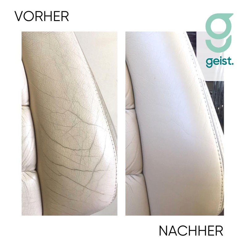 Geist. Easy DIY Colour Restorer for Leather & Vinyl (Light