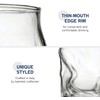 Bormioli Rocco Sorgente 14.25 Double Old Fashioned Glass, Set of