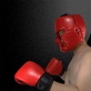 LNGJIN Red head protection boxes, box head protection, head protection,