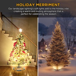 48W Spotlight,3000K Warm White Spot Lights Outdoor ,DC24V Low Voltage Landscape Lighting, IP65 Aluminium Outdoor Lights,Christmas Tree Lights Outdoor with 5.91ft Cable and Power Supply,Set of 4