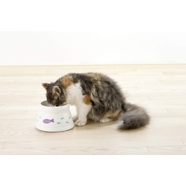 Richell Spill Resistant Cat Dish with Stem, White, Small