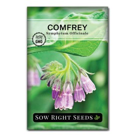 Sow Right Seeds - Comfrey Seeds for Planting - Non-GMO Heirloom Packet with Instructions to Plant an Outdoor or Indoor Herb Garden - Roots & Leaves for Home Remedies - Medicinal Salve, Oil, Tea (1)
