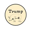 CafePress Trump Pig, Anti Trump Oval Car Magnet, Euro Oval