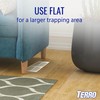 TERRO T3206SR Non-Toxic Indoor Spider, Ant, Cockroach, Centipede, and Crawling