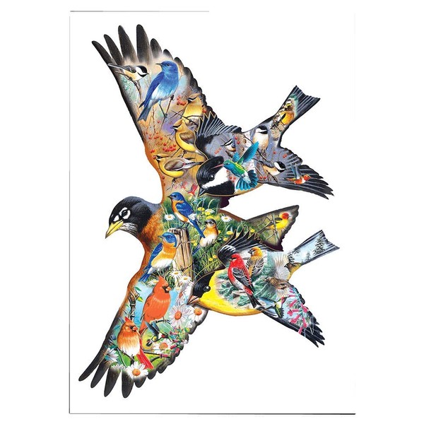SunsOut Birdsong 1000 pc Jigsaw Puzzle -Bird Theme