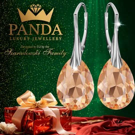 Earrings 925 Silver Hanging, Earrings Hanging with Crystals, Choose Jewellery for You, Bet on Silver Earrings in the Shape of a Pear, Silver, Crystal