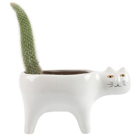 DIYOMR Cat Planter Animal Succulent Pots, Ceramic Cat Mini Flower Pots Cactus/Plants Containers for Home Office Desk Windowsill Decor, Plants Not Included (White)