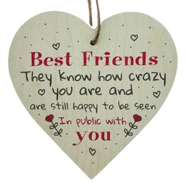 Second Ave Funny Best Friends Crazy Wooden Hanging Heart Home Friend Friendship Sign Plaque