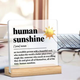 Hiagkmet Sunshine Gifts Inspirational Office Supplies Human Sunshine Gift Decor Acrylic Sign Motivational Appreciation Gifts for Teacher Coworker Doctor Cubicle Accessories Home Table Decorations