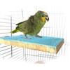 Bird Parrot Perch Stand Platform Natural Wooden Coarse Sand Grinding