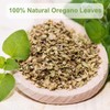 TEARELAE - Oregano Tea Bags - 50 Count - Premium