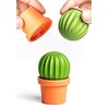 Qualy Design Studio Cactus Salt and Pepper Shakers in One.