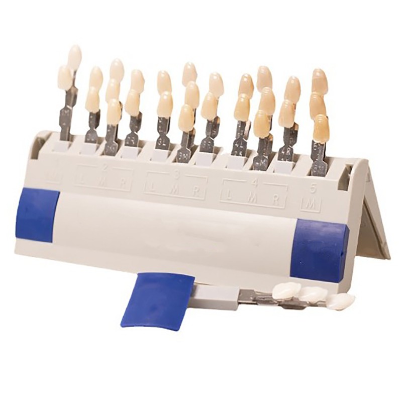 Teeth Whitening Shade Guide 29 Colors Comparison Individually Removable Tooth