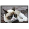 Pop Culture Image Magnet #108 Grumpy Cat Meme Kitty