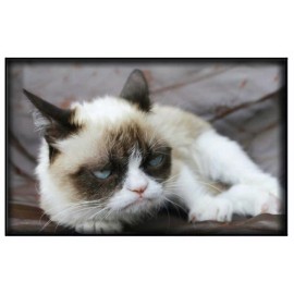 Pop Culture Image Magnet #108 Grumpy Cat Meme Kitty