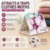 Premium Clothes Moth Traps - 6-Pack Non-Toxic Protection