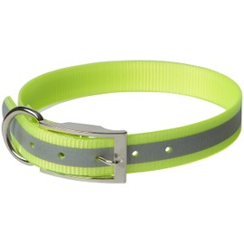 OmniPet Sunglo Reflective Regular Dog Collar