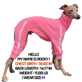 D Doggy Star Italian Greyhound Clothes Stretchy Towel Sports Onesie Outfit Whippet for Dog Coat (M,TWL NeonPink)