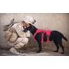 Escape Proof Dog Harness Medium Sized Six Point Adjustable, Soft