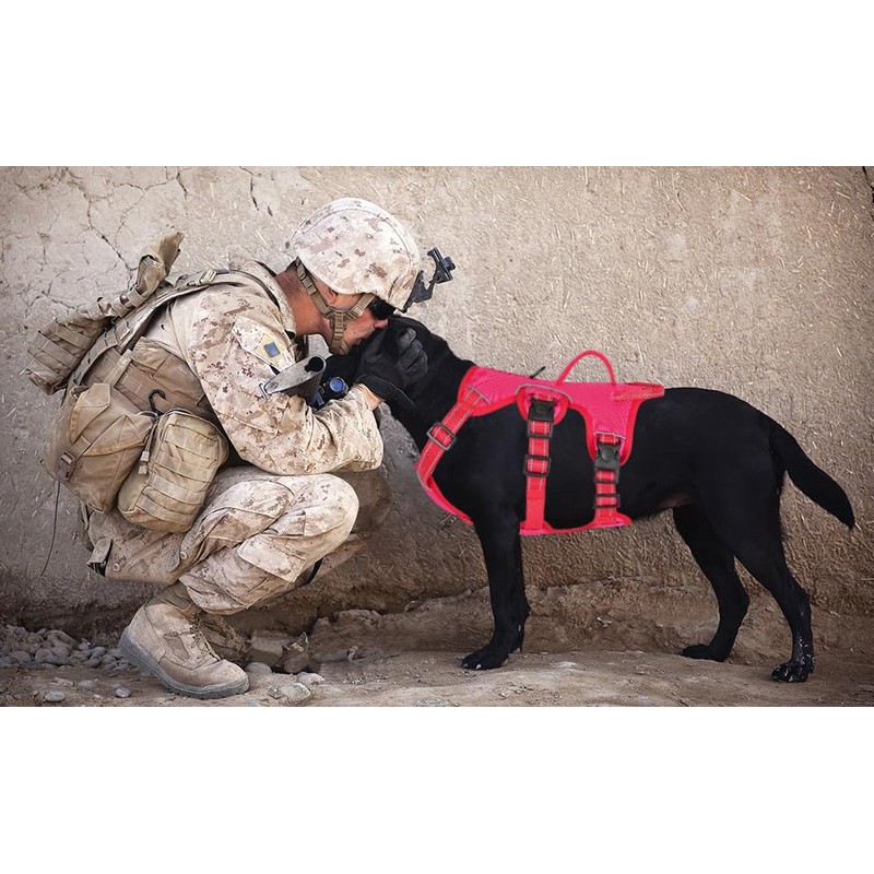 Escape Proof Dog Harness Medium Sized Six Point Adjustable, Soft