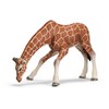 Schleich Giraffe female drinking