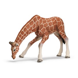 Schleich Giraffe female drinking