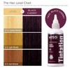 Kiss Tintation Semi-Permanent Hair Color 5 Ounce, T740 Rose Gold