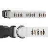 Small 'Dachshund Party Time' Dog Collar (PR00052077)