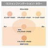 ekusubo-te Vision fainkaba-pauda- Foundation (Refill)
