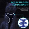 Grantop Adjustable Cat Harness, Escape-Proof Cat Harness with Lead Set,