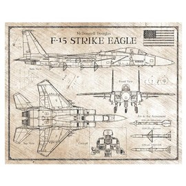 F-15 Strike Eagle - DaVinci or Blueprint Style Illustration - 8x10 or 16x20 inches (8x10 inches, DaVinci)